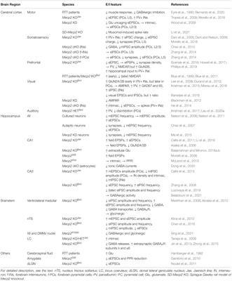 Excitation and Inhibition Imbalance in Rett Syndrome